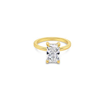 Radiant Cut Engagement Ring with Diamond Hidden Halo Basket*